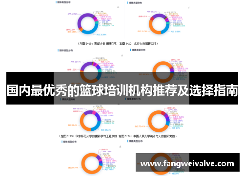 国内最优秀的篮球培训机构推荐及选择指南